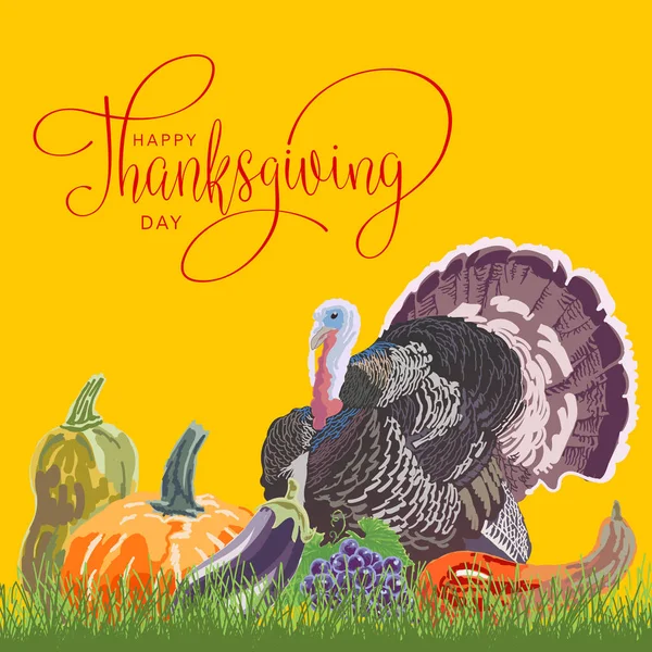 Mutlu Şükran günü kabak ve Türkiye ile