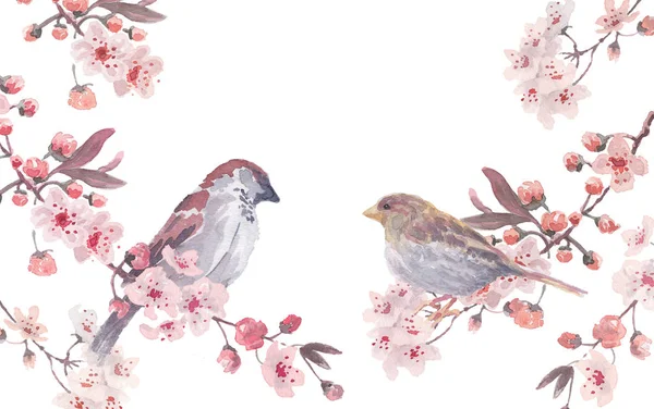 Moineau Mâle Femelle Avec Des Branches Cerisier Une Couronne Fleurs — Image vectorielle
