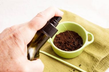 Kahve ve zeytin olil ile fırçalayın.