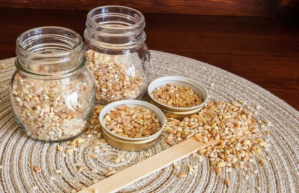 Mélange de cinq céréales : blé, épeautre, orge, avoine, riz . — Photo