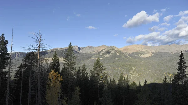 Mountain view from above the trees — Stock Photo, Image