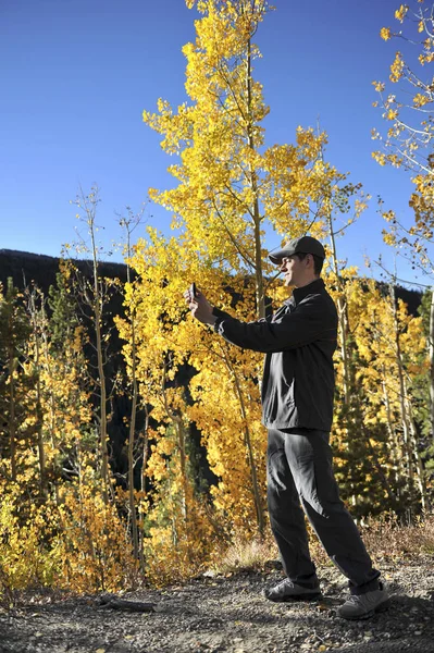 Fotógrafo contra árboles de Aspen de otoño —  Fotos de Stock