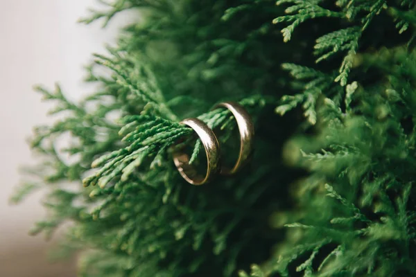Svatební Prsteny Krásném Pozadí Selektivní Zaměření Makro — Stock fotografie