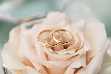 Çiçekler, dekorlar ve detaylarla dolu bir kutuda evlilik yüzükleri.