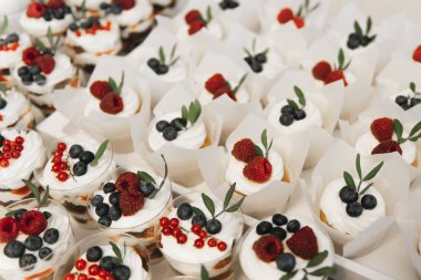 Çikolata. Kekler ve böğürtlenli tatlılar. Konsept: 