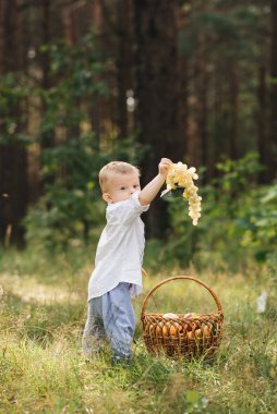 Doğada oynayan sevimli çocuk. Ormanda yaz