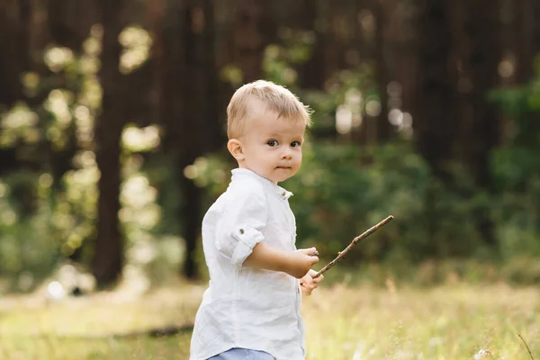 Netter Junge Der Der Natur Spielt Sommer Wald — Stockfoto