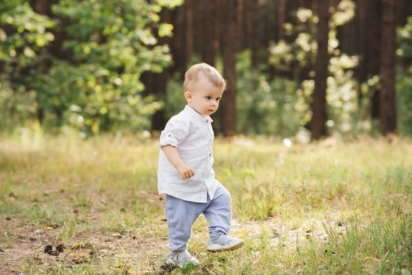 Netter Junge Der Der Natur Spielt Sommer Wald — Stockfoto