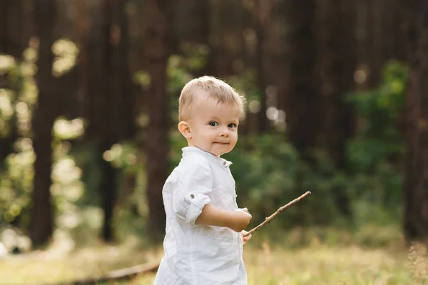 Netter Junge Der Der Natur Spielt Sommer Wald — Stockfoto