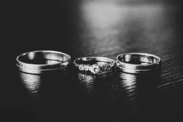 Svatební snubní prsteny. Koncepce lásky. Selektivní soustředění. Černá a — Stock fotografie
