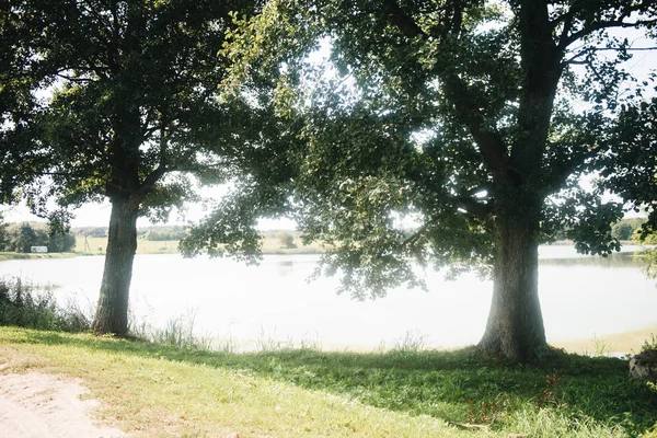 Natuur scène met bomen en meer. — Stockfoto