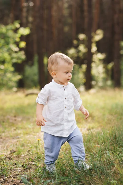 Netter Junge Der Der Natur Spielt Sommer Wald — Stockfoto