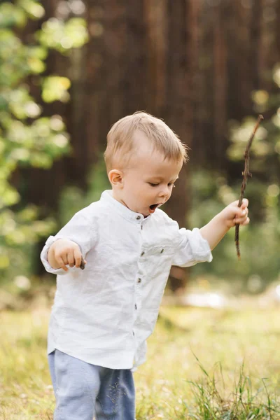 Netter Junge Der Der Natur Spielt Sommer Wald — Stockfoto