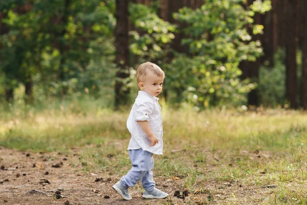 Netter Junge Der Der Natur Spielt Sommer Wald — Stockfoto
