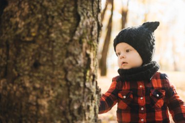 Mutlu küçük erkek bebek sonbaharda doğa yürüyüşünde oynuyor.