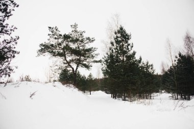Buzlu kış aşkı hikayesi. Karlı bir arka planda şık aşıklar. Aşk.