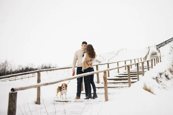 Vinterkärlekshistoria Snygg Kille Och Flicka Med Hund Promenader Den Snöiga — Stockfoto