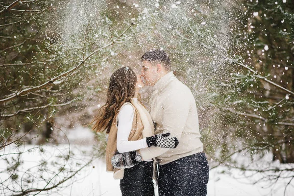 Historia Amor Invierno Hielo Elegantes Amantes Chico Chica Bosque Invierno —  Fotos de Stock