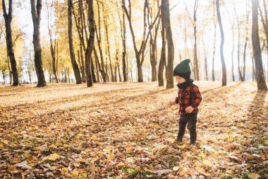 Mutlu küçük erkek bebek sonbaharda doğa yürüyüşünde oynuyor.
