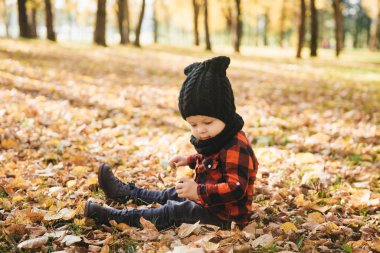 Mutlu küçük erkek bebek sonbaharda doğa yürüyüşünde oynuyor.