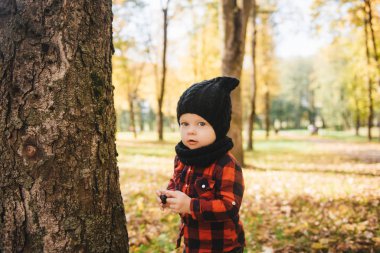 Mutlu küçük erkek bebek sonbaharda doğa yürüyüşünde oynuyor.