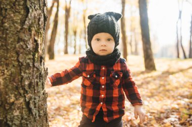 Mutlu küçük erkek bebek sonbaharda doğa yürüyüşünde oynuyor.