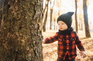 Mutlu küçük erkek bebek sonbaharda doğa yürüyüşünde oynuyor.