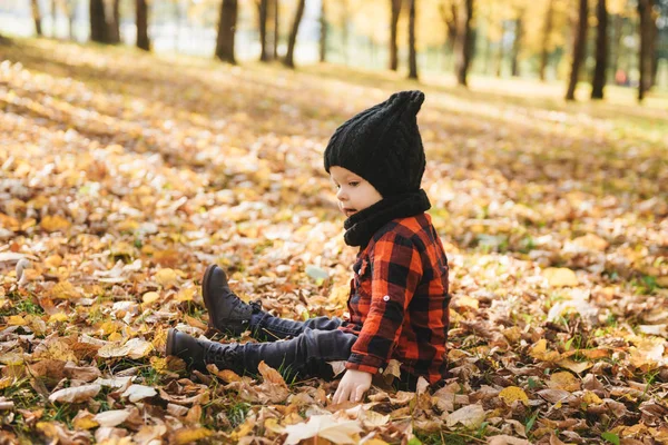 Mutlu küçük erkek bebek sonbaharda doğa yürüyüşünde oynuyor.