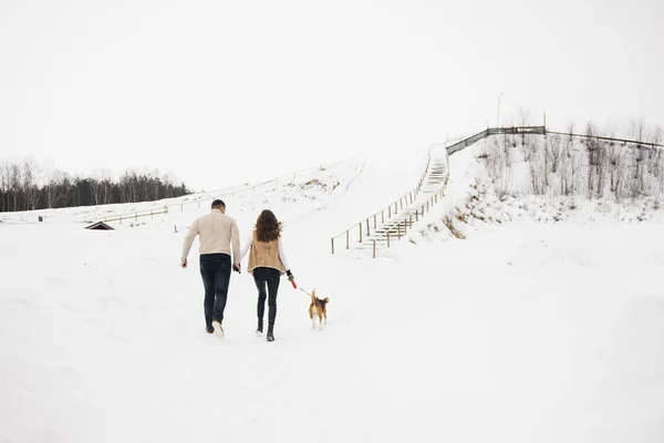 Vinterkärlekshistoria Snygg Kille Och Flicka Med Hund Promenader Den Snöiga — Stockfoto
