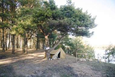 Retro çadır, sırt çantası, gitar, nehir kenarındaki ormanda yangın.