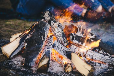 Saha koşullarında yemek pişirmek, piknikte kamp ateşinde demlik pişirmek. Filtrelenmiş resim: çapraz işlenmiş vintage etkisi. 