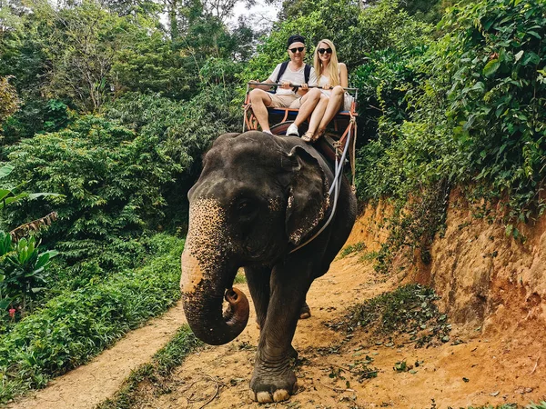 Young tourists are riding on elephants through the jungle, Thailand