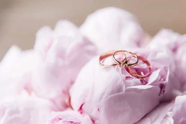 Jegygyűrűk Hátterében Rózsaszín Bazsarózsa — Stock Fotó