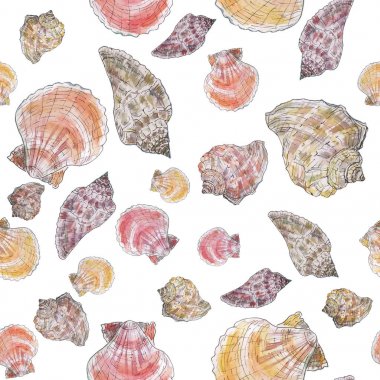 Beyaz arka plan üzerinde izole suluboya el çekilmiş seamless modeli. Kumaş, tekstil, ambalaj kağıt, kart, davet, duvar kağıdı, web tasarım, arka plan için suluboya deniz kabuklarını tasarım.