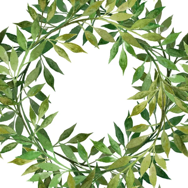 Suluboya çelenk yaprakları ve dalları ile. Suluboya elle çizilmiş illüstrasyon izole beyaz arka plan üzerinde. Arka plan, duvar kağıdı, tekstil, davetiye, tebrik, kağıt ve başka bir şeyler sarma için seamless modeli. Metniniz için çerçeve çiçek.