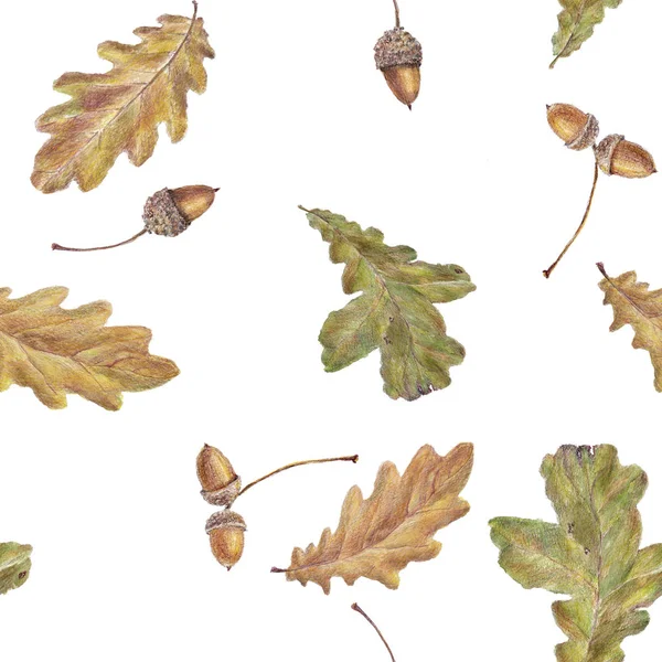 Aquarell Herbst Blätter Muster Aquarell Handgezeichnet Nahtlose Muster Isoliert Auf — Stockfoto
