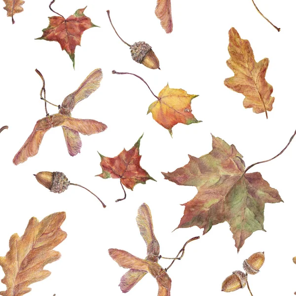 수채화가 나뭇잎 패턴입니다 수채화 손으로 그려진된 원활한 배경에 수채화가 나뭇잎 — 스톡 사진