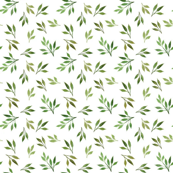 Sorunsuz suluboya desen bırakır. Suluboya elle çizilmiş illüstrasyon izole beyaz arka plan üzerinde. Yaprakları ve dalları için arka plan, duvar kağıdı, tekstil ile Seamless suluboya modeli.
