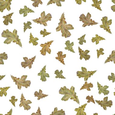  Sulu Boya desen yaprak. Beyaz arka plan üzerinde izole suluboya el çekilmiş seamless modeli. Kumaş, tekstil, ambalaj kağıt, kart, duvar kağıdı, web tasarım, arka plan için tasarım suluboya sonbahar yaprakları.