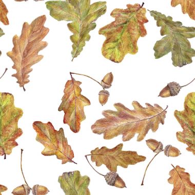  Sulu Boya desen yaprak. Beyaz arka plan üzerinde izole suluboya el çekilmiş seamless modeli. Kumaş, tekstil, ambalaj kağıt, kart, duvar kağıdı, web tasarım, arka plan için tasarım suluboya sonbahar yaprakları.