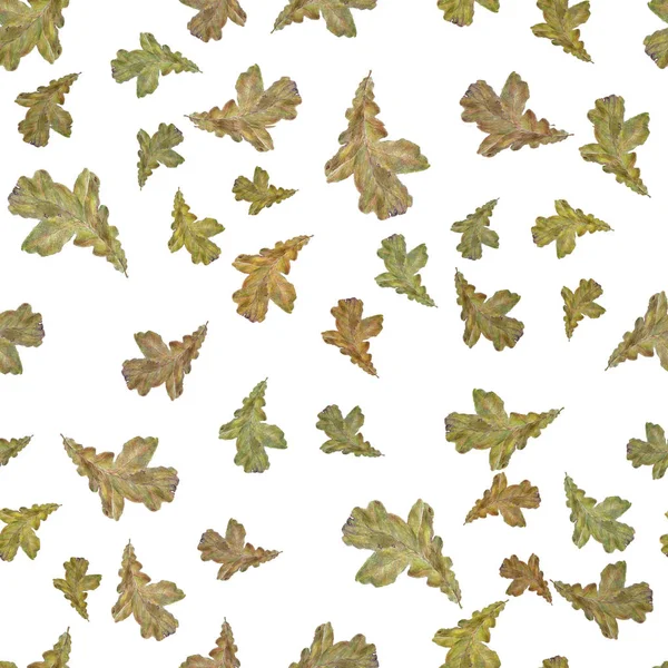  Sulu Boya desen yaprak. Beyaz arka plan üzerinde izole suluboya el çekilmiş seamless modeli. Kumaş, tekstil, ambalaj kağıt, kart, duvar kağıdı, web tasarım, arka plan için tasarım suluboya sonbahar yaprakları.