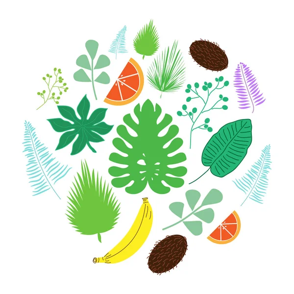 Set di foglie tropicali e icone di frutta in cerchio — Vettoriale Stock