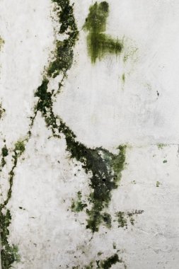 Her yerde kalıp onarıma ihtiyacı olan eski beyaz duvar.