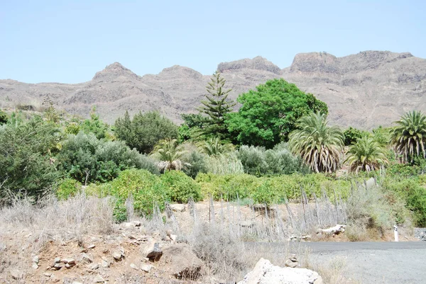 Gran Canaria Spain — Stockfoto