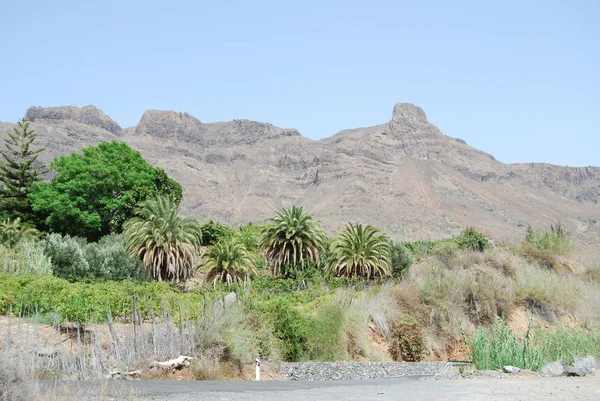 Gran Canaria Spain — Φωτογραφία Αρχείου