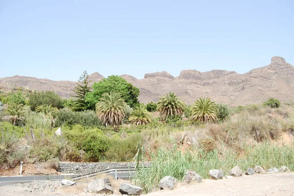 Espanha gran canaria — Fotografia de Stock