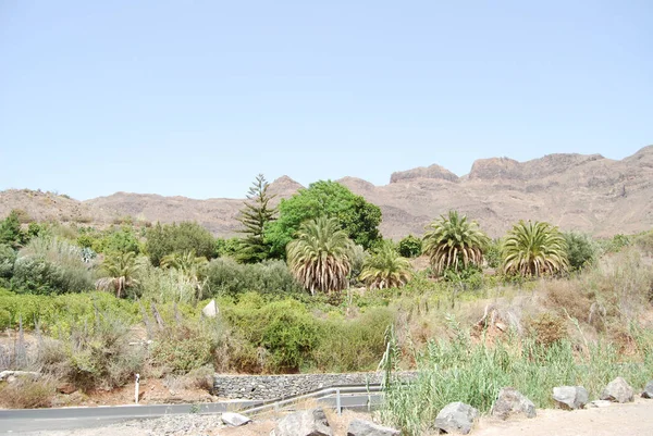 Espanha gran canaria — Fotografia de Stock