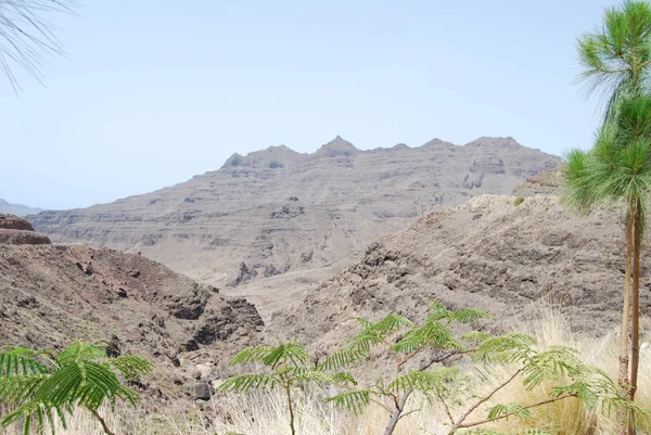 Gran Canaria Spain — Φωτογραφία Αρχείου