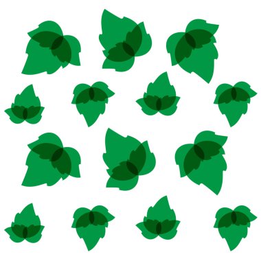 fesleğen vektör çizim set 