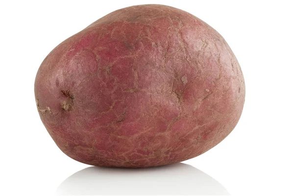 Eine rohe Kartoffel — Stockfoto